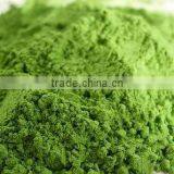 Wheat Grass Powder / Triticum Aestivum Powder thumbnail-1