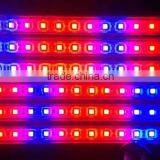Korea Led Plant Grow Light Strip Lighting Red:Blue 3:1 4:1 5:1 6:1 7:1 8:1 9:1 LED Grow thumbnail-6