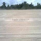 Tapioca Residue / Tapioca Residue Powder / Tapioca Residue Pellet thumbnail-3