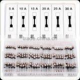 TC 120pc Assorted Auto Glass Fuse Kit