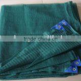 Olive Net(pieces for Itlay Market)