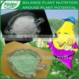 Water Soluble Npk Compound Fertilizer for Potato thumbnail-1