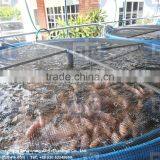 Indoor Fish Farm Design for Catfish Fish Farm