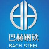 Tianjin Bach Steel Trade Co., Ltd. company overview - view 1 thumbnail