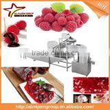 Hot Sale Full Automatic Industrial Raspberry Jam Maker Machine High Viscosity Production Line thumbnail-5