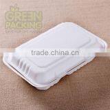 9x6 Inch Biodegradable Sugarcane 1000ml 2-div Food Container With Lid thumbnail-1