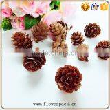 Pine Nuts Series of Natural Flowered Bark Engraving thumbnail-5