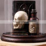 Halloween Skull and Crow Decoration With Glass Dome Creepy Gift thumbnail-2