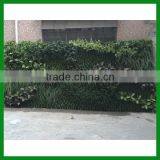 Artificial Vertical Plant Wall thumbnail-1