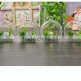Glass Craft Handmade Home Decoration Hanging Glass Vase for Flowers thumbnail-2