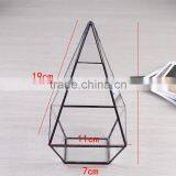 Family Decoration Geometric Terrarium Tabletop Glass Vase Indoor Garden Decor Air Plants Black Frame Flower Pot thumbnail-3