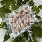 Vacuum Clams thumbnail-2