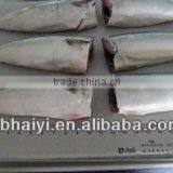 HGT Frozen Mackerel for Canned thumbnail-1