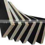 Timber-film Faced Plywood thumbnail-5