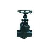 Globe Check Valve(JH31H-800LB-1)
