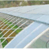 Agriculture Greenhouse Covered With Clear Plastic Poly Film thumbnail-5