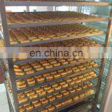 BK-280 Automatic Encrusting Machine to Make Pineapple Cake Factory Price thumbnail-3