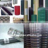 Welded Wire Mesh Honest Supplier &manufacture