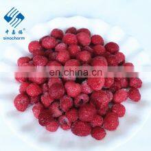 IQF Raspberry Whole Frozen thumbnail-3