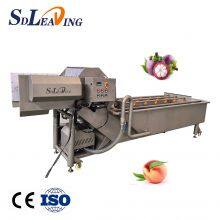 Commercial Washing Machine Fruit Vegetable Washer Bubble Cleaning Equipment thumbnail-5