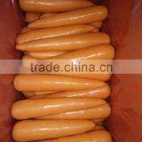 Carrot Price thumbnail-4