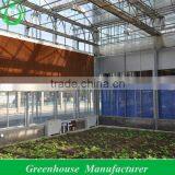 Cooling System for Greenhosue