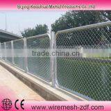 Wire Mesh Fence