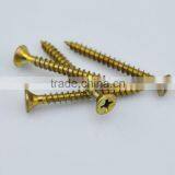 Customized New Coming Torx Chipboard Screws