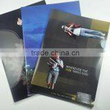 Office Special for Collecting and Clarifying A4 Papers A4 File