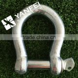 Carbon Steel /Stainless Steel Bow Type Shackle