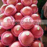 Top Quality thumbnail-2