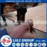 Hot Sale Door Skin Plywood thumbnail-1