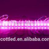 Ip67 12v 3leds/module 20pcs/string Rectangle 75*15mm Full Color Ws2811 LED Pixels Module thumbnail-4