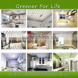 Plastics Profiles PVC Wall Clading Stretch PVC Ceiling Designs