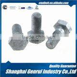 DIN960 Fine Thread Metal Toggle Hex Bolt and Washer and Nut