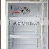 2~8 Degree Pharmacy Medical Refrigerator thumbnail-2