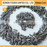 Sunflower Seed Market Price thumbnail-1