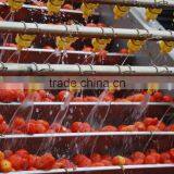 Chinese Good Quality Tomato Paste thumbnail-4