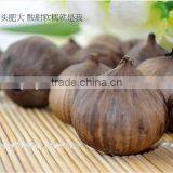 Best Offer Korean Japanese Popular Clove Black Garlic thumbnail-3