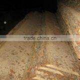 Unedged Timber thumbnail-1