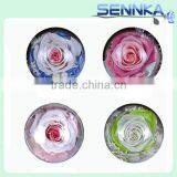 Preserved Rose and Rose Flower in Hang Glass Ball thumbnail-5