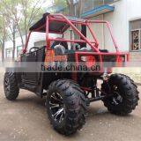 Chinese Beach Buggy With Displacement of 232cc AOS250 thumbnail-6