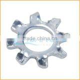 China professional manufacturing toothed lock washer with external teeth