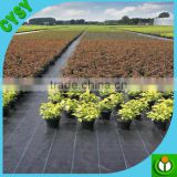 PP ground cover, agricultural greenhouse used woven weed mat