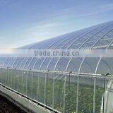 Tunnel Greenhouses With Supporting Systems thumbnail-2