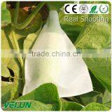 Nonwoven Fruit Cooler Bag thumbnail-1