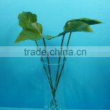 Artificial Plastic Grass/green Fake Grass/decorative Artificial Grass thumbnail-3