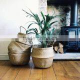 Nature Seagrass Storage Basket/ Decorative Seagrass Baskets