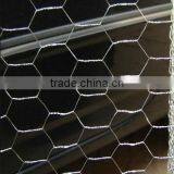 Hexagonal Chicken Wire Mesh (Dingzhou Factory)