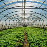 Low Cost Durable Single-span China Vegetable Tunnel Greenhouse thumbnail-1